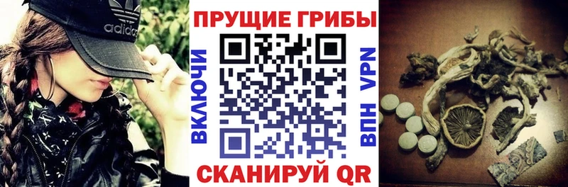 Галлюциногенные грибы MAGIC MUSHROOMS  Купить где  Верхоянск 